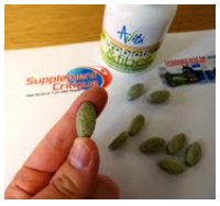 probiotic and fiber review