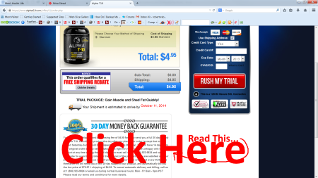 alpha t-10 terms and conditions small