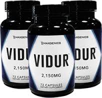 Maxgenics Vidur Review