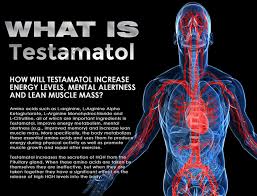 Testamatol and Vigoraflow Review 4