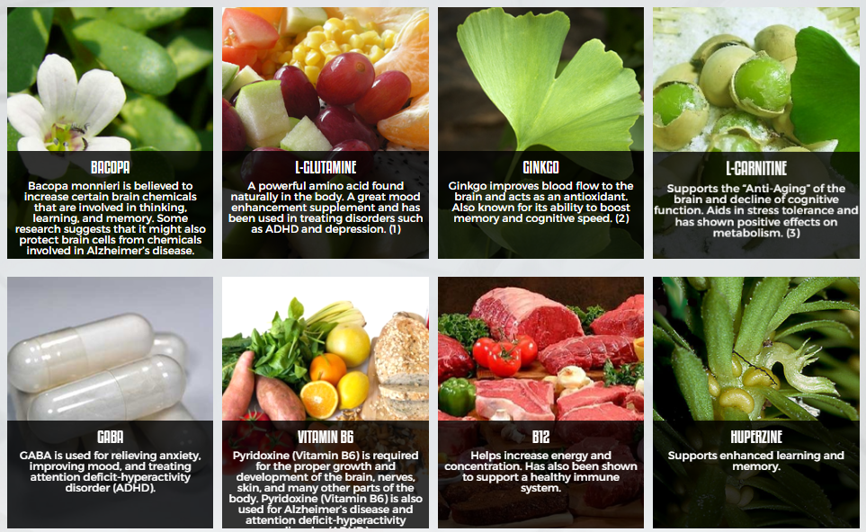 Max Synapse Ingredients Image