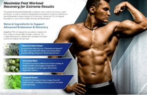 alpha fuel 720 ingredients