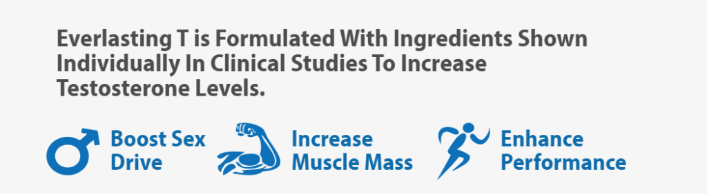 everlasting-t-benefits
