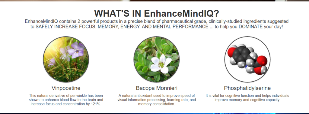 enhance-mind-iq-ingredients-image