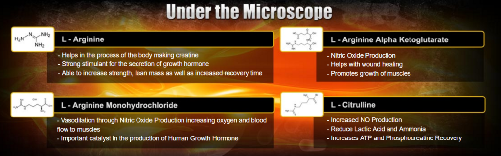 maxgain-extreme-ingredient-profile-image