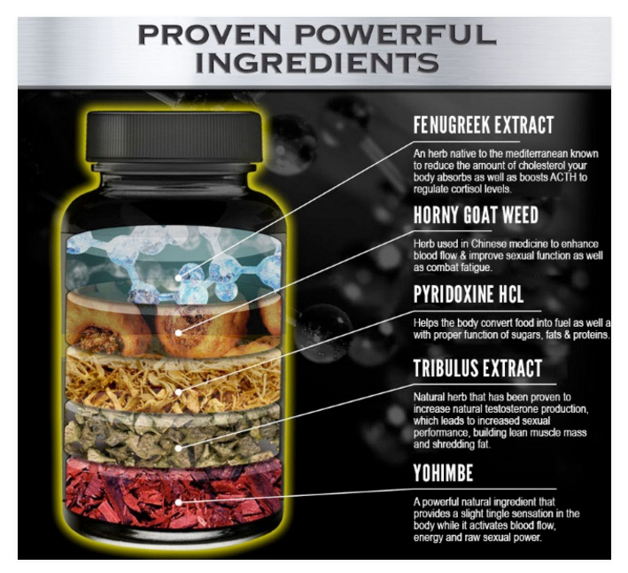 x-alpha-ingredients-image