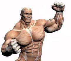 Power Pump Supplement