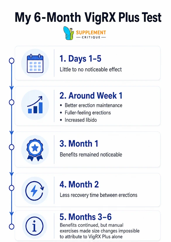 Timeline of my 6-month VigRX Plus test showing when I noticed erection, libido, and recovery-time changes