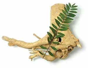 Tongkat Ali is a natural aphrodisiac and is included in the Entramax formula