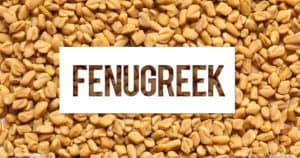 Fenugreek has many benefits