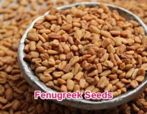 fenugreek seeds - testofen extract
