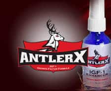 AntlerX