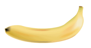 Top 5 Best Weight Loss Pills in 2026