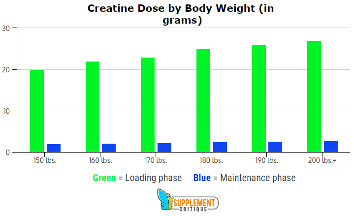 creatine loading phase creatine loading phase