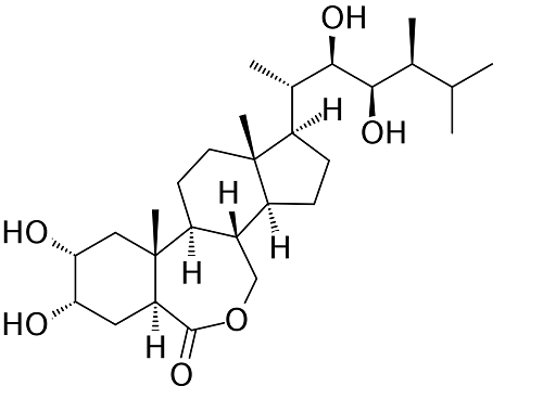 Laxogenin research
