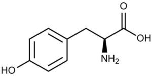 Excelerol contains L-Tyrosine, an ingredient that helps with memory and focus