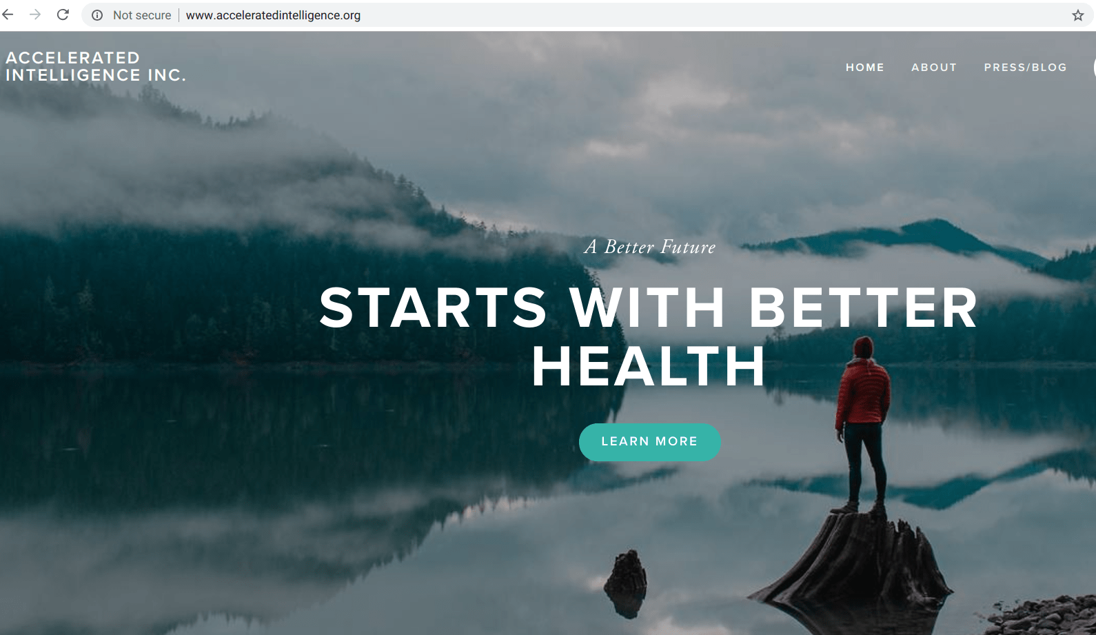 Accelerated Intelligence Inc website