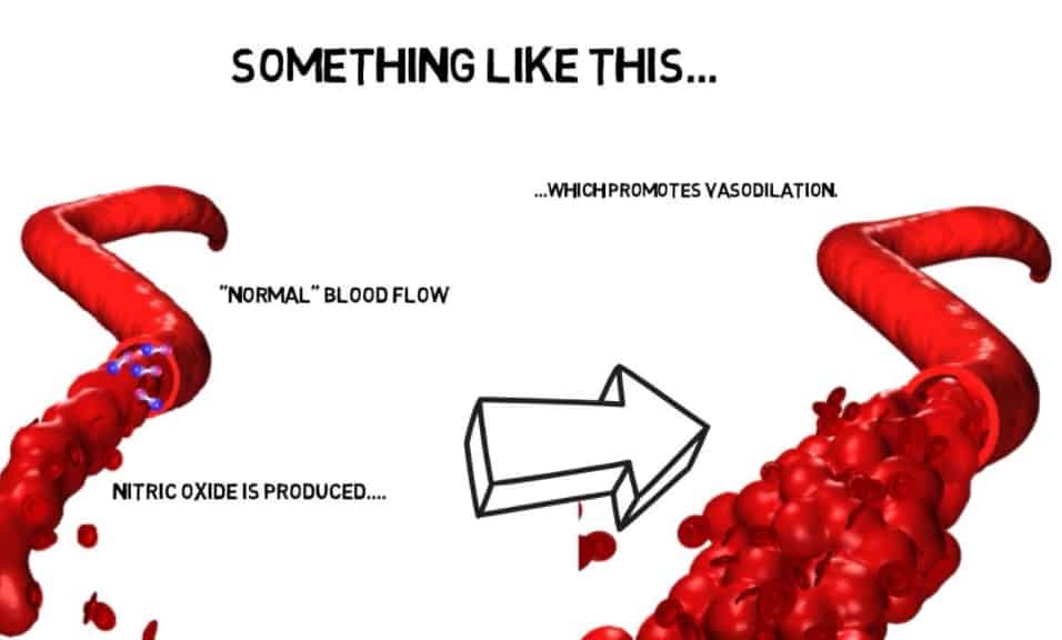 how l arginine works to produce nitric oxide
