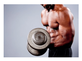Legal Prohormones At GNC, Vitamin Shoppe, Walmart, and More
