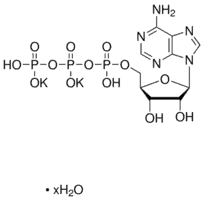 Chemical compound of Adenosine 5′-Triphosphate Disodium