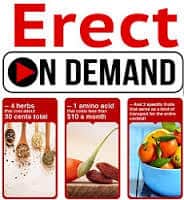 Erect on Demand