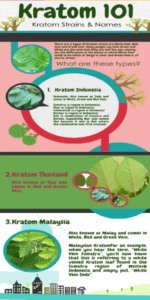 3 Right Time to Consume Chia Seeds for Weight Loss