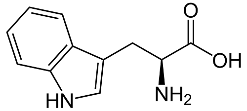 L-tryptophan fat loss supplement