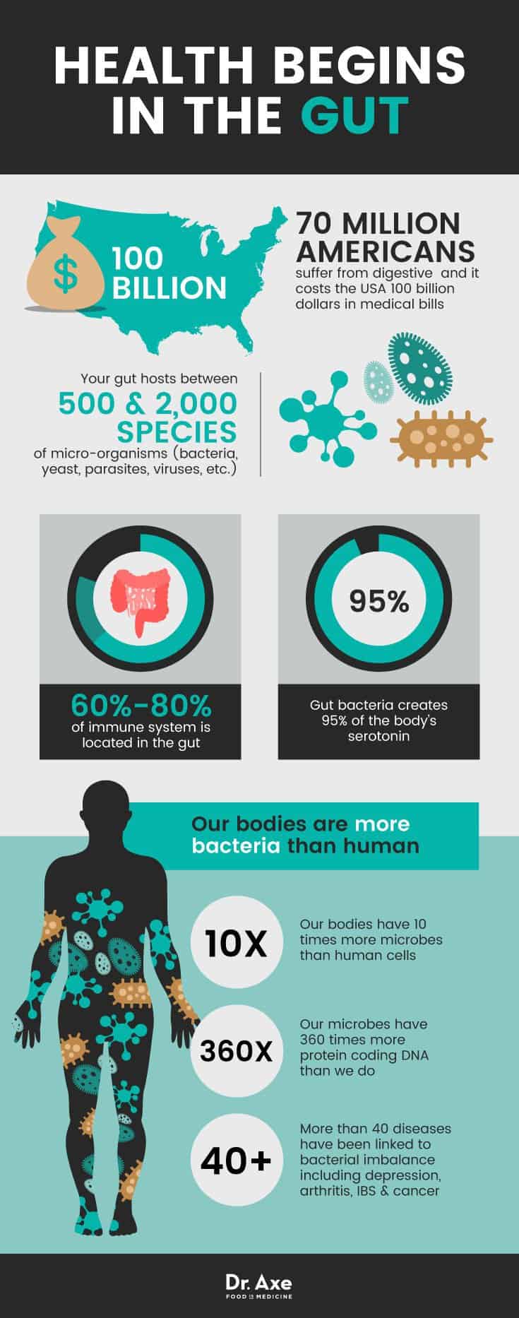 dr axe probiotics infographic