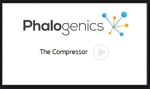 phalogenics compressor exercise explained