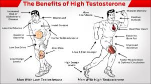 Nugenix Maxx Testoterone Differences