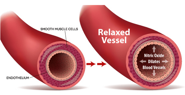 how vasodilation works