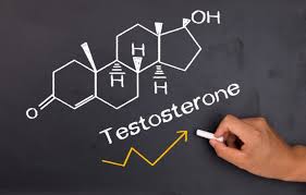 Home Test Testosterone chemical structure image