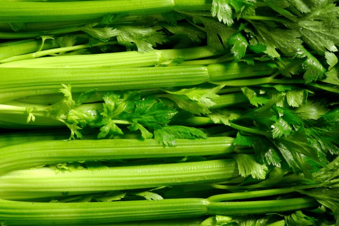 boost testosterone celery