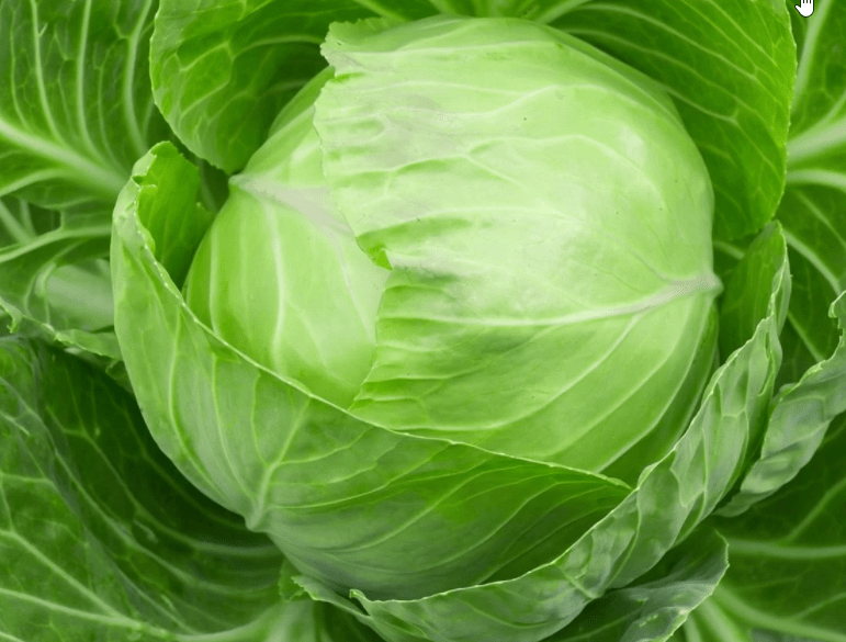 50 Testosterone Boosting Foods That REALLY Do Work ...