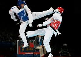 magnesium tae kwon do