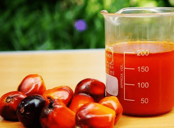 red palm oil increased testosterone