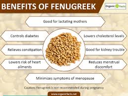 Fenugreek benefits