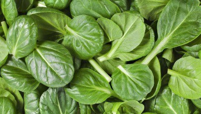 spinach lowers testosterone