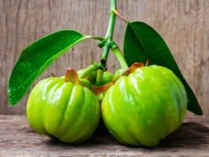 Garcinia Cambogia is found in Leanbean and should not be taken by pregnant women