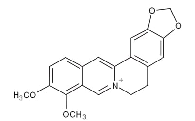 molecular structure of berberine