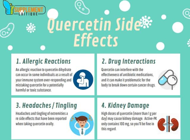quercetin side effects infographic