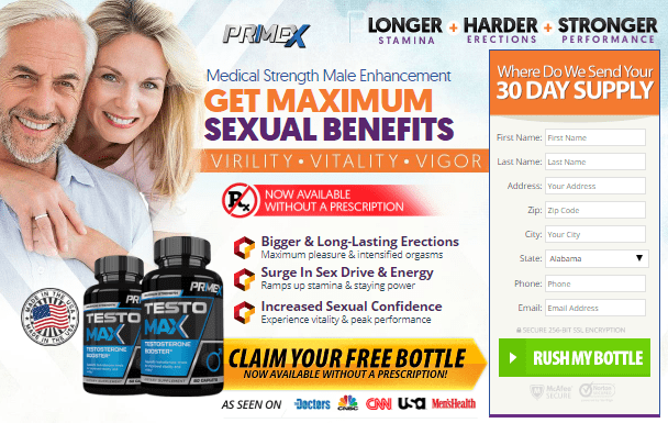 testomax website snapshot