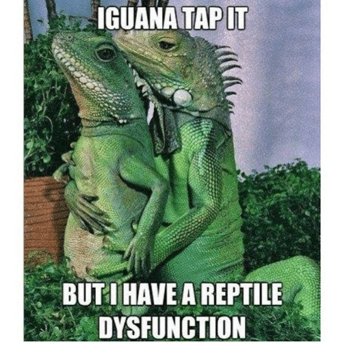 https://www.supplementcritique.com/wp content/uploads/2018/06/instagram