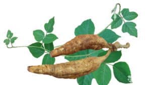 Virmax For Her ingredients include Kudzu Root