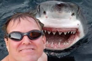 I hope this article educates you on the fake shark tank scams