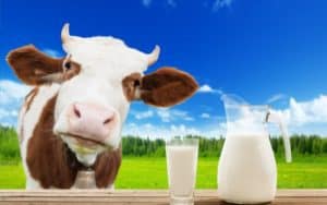 Brickhouse protein is milk based