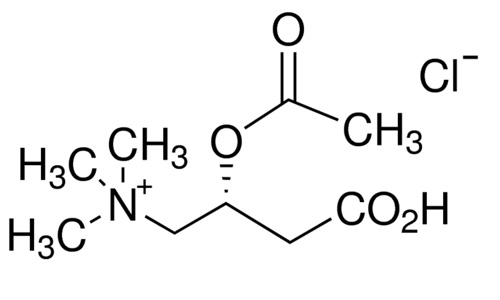 Acetyl-L-Carnitine HCl and improved blood flow