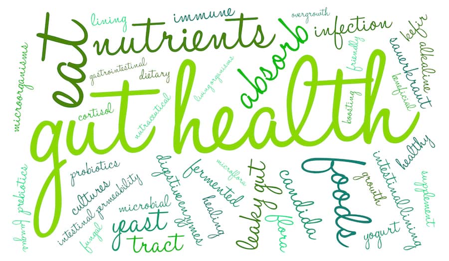Your crash course on probiotics, prebiotics and synbiotics