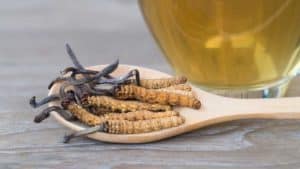 Cordyceps are a mushroom ingredient found in Titanium 4000 sex pill