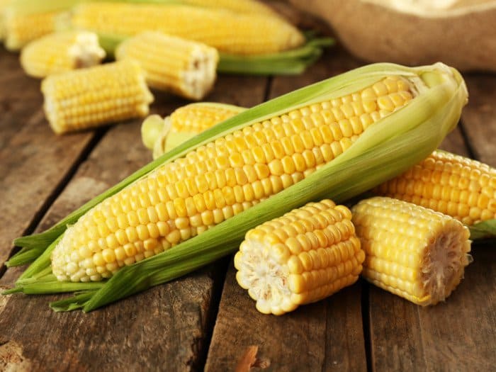 Dr. Pedre, the maker of Synbiotic 365 claims that corn is bad for gut health